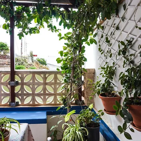 Casa Yeyo, Lomo Bermejo Hébergement de vacances Santa-Cruz de Ténérife